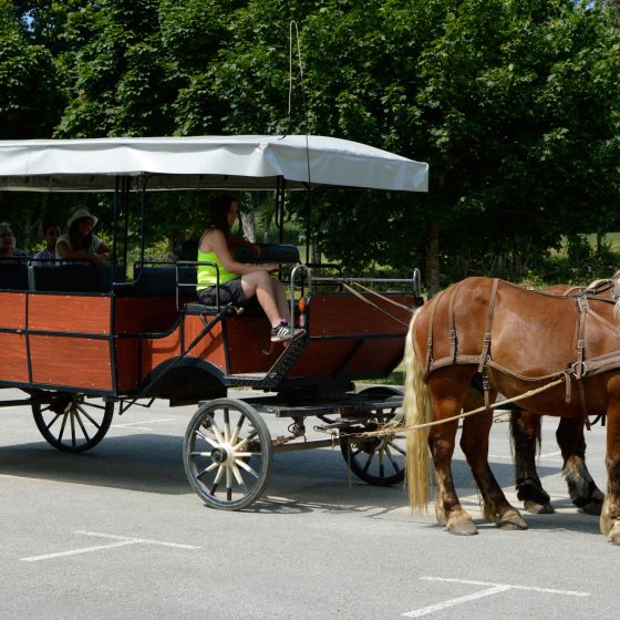 Horse drawn cart of Les Caleches