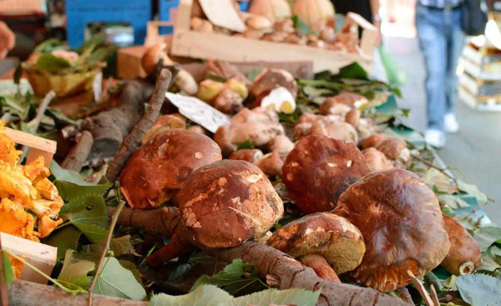 Turin Fresh Ceps from the Market at Porta Palazzo