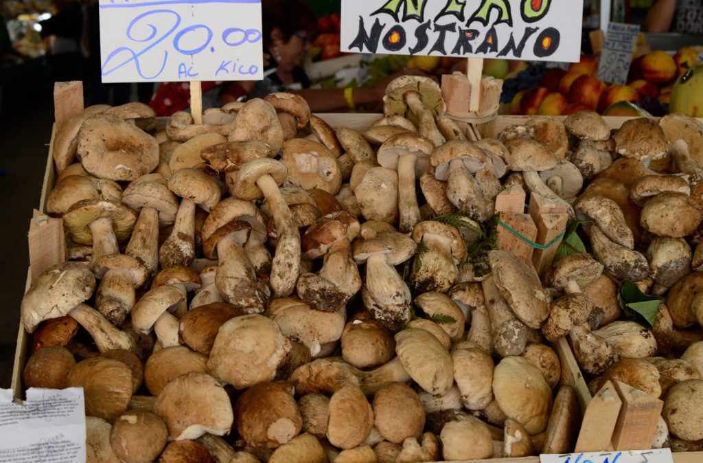 Modena Mercato fresh ceps