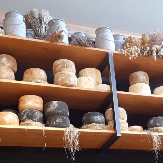 Shelves of Pecorino cheese - Eataly World