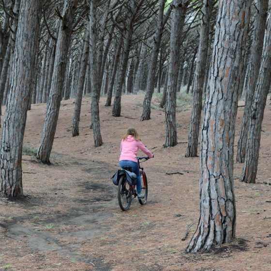Cecina Marcella Cycling in the cypress woods