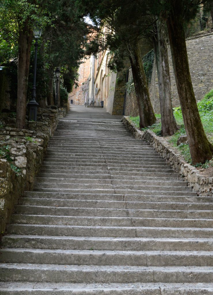 Voltara Steps up to Town