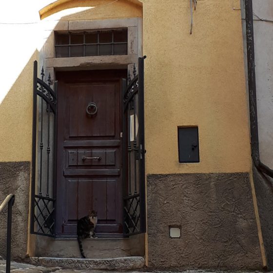 Cat in doorway at Suvereto