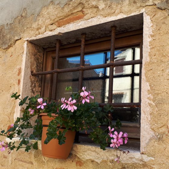 Window box in Sassetta