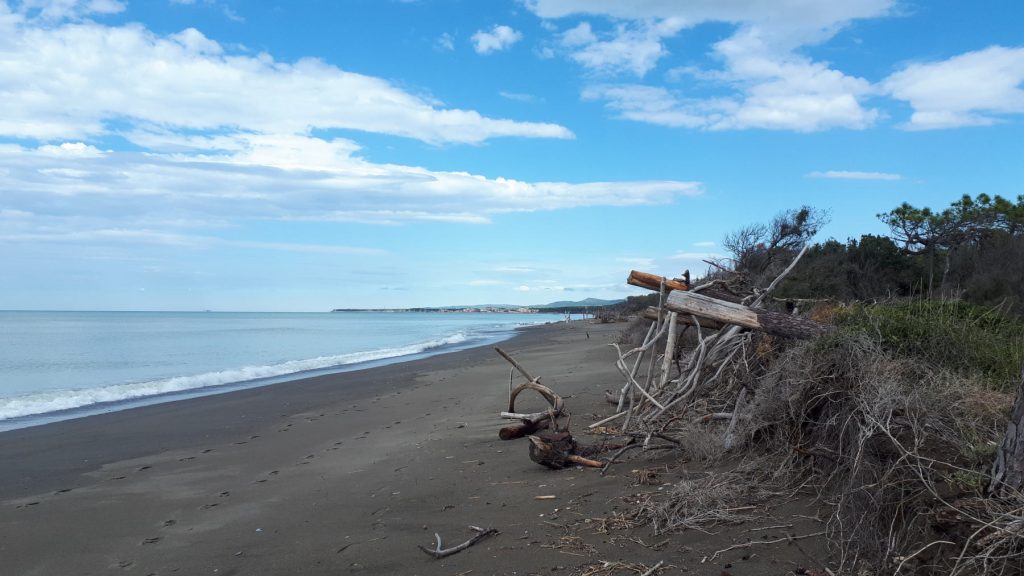 Cecina coastline