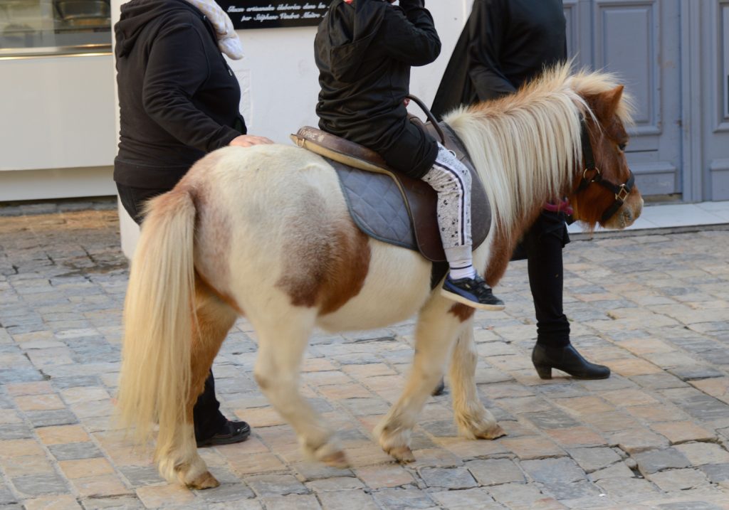 Aigues-Mortes - Children's Pony ride