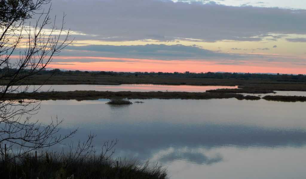 Camargue - sunset over the lagoons