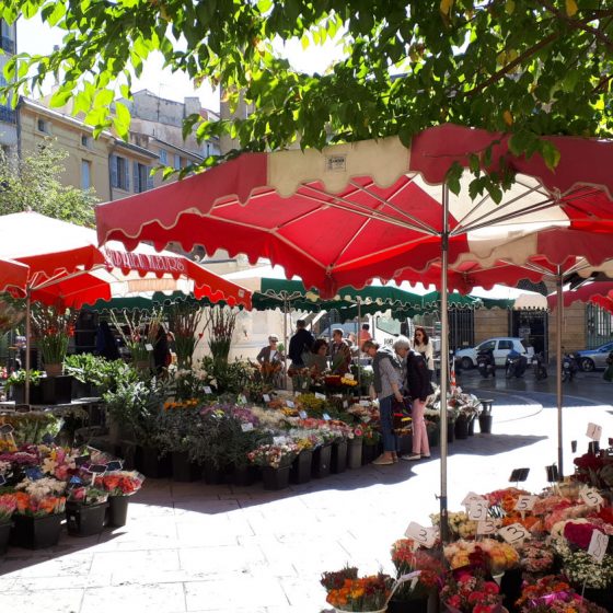 The flower market in the town hall square Aix en Provence