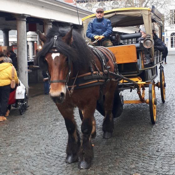 A horse and cart taking a rest outside the fish market