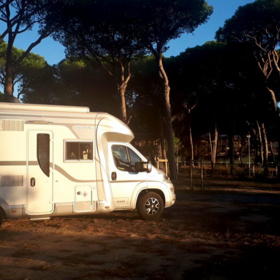 Peaceful stay at the campsite in the pine forest at Grosseto, Italy