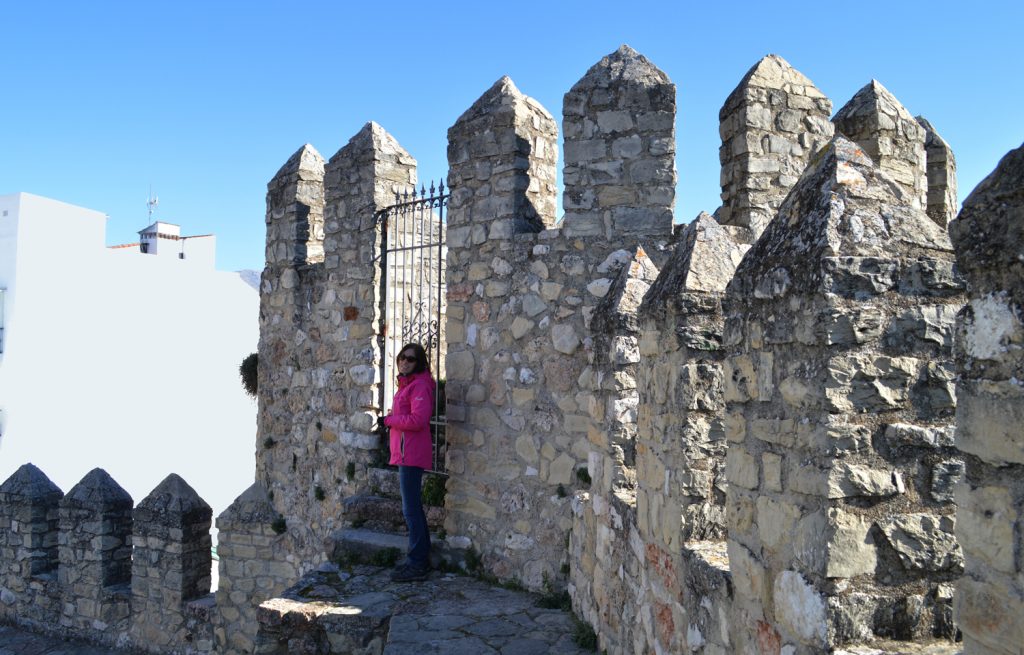 Cabra Marcella on the old castle walls
