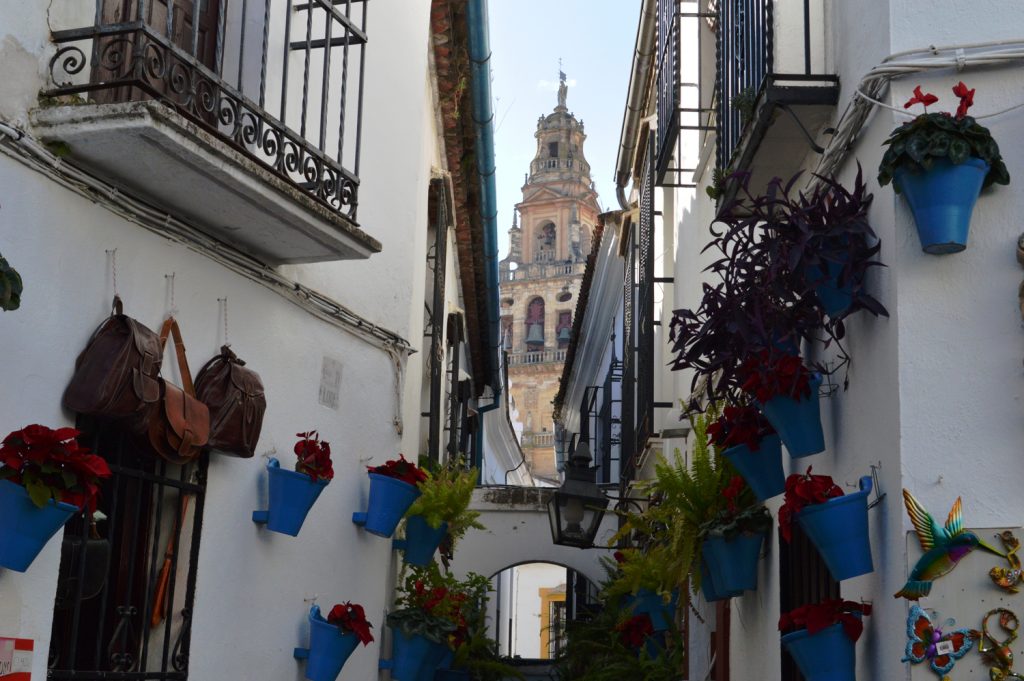 Cordoba Flower Street and Belltower