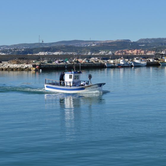 Estepona - Fishing boat comes into harbour