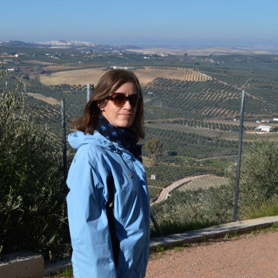 Montilla view over the olive groves