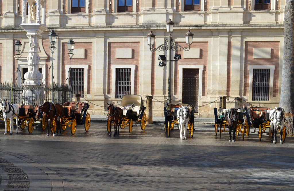 Seville horse drawn Carriages