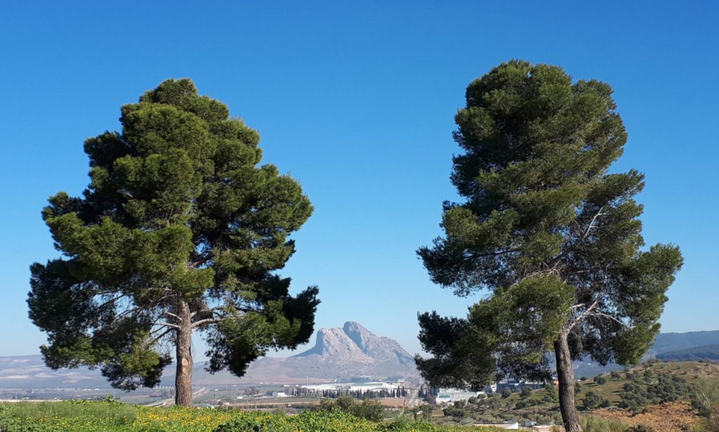 Lovers Leap Antequera