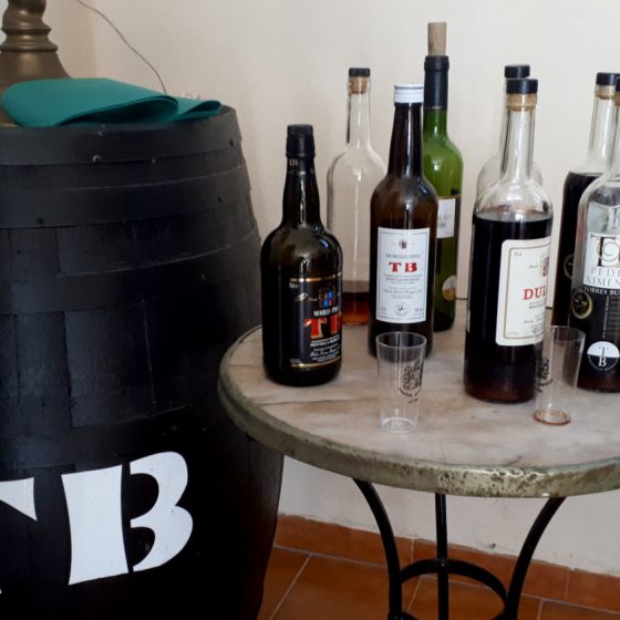 Lucena - Torres Burgos wine tasting