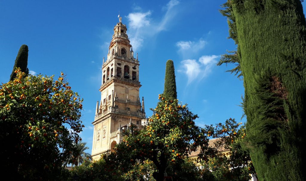 Blue skies, green trees and oranges surrounding the Mezquita's bell tower