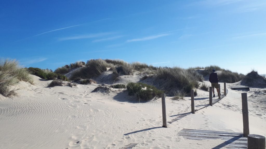 Half buried boardwalk along beach at Matalascanas