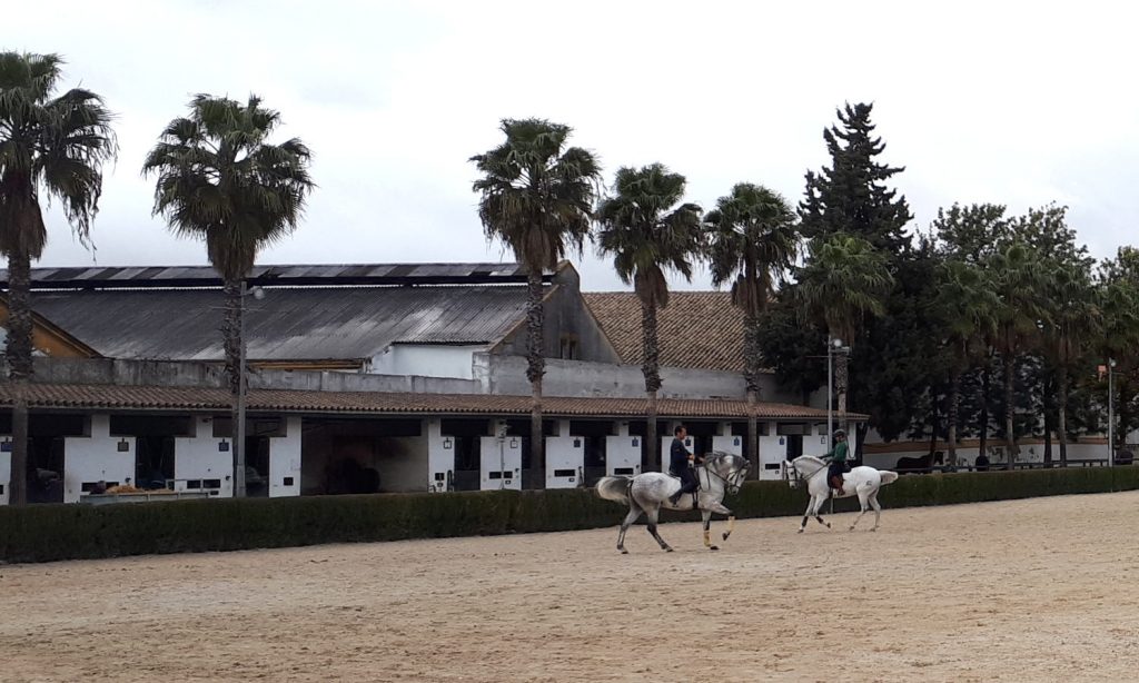 Jerez riding school outdoor arena