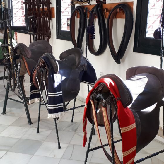 Saddles in the workshop