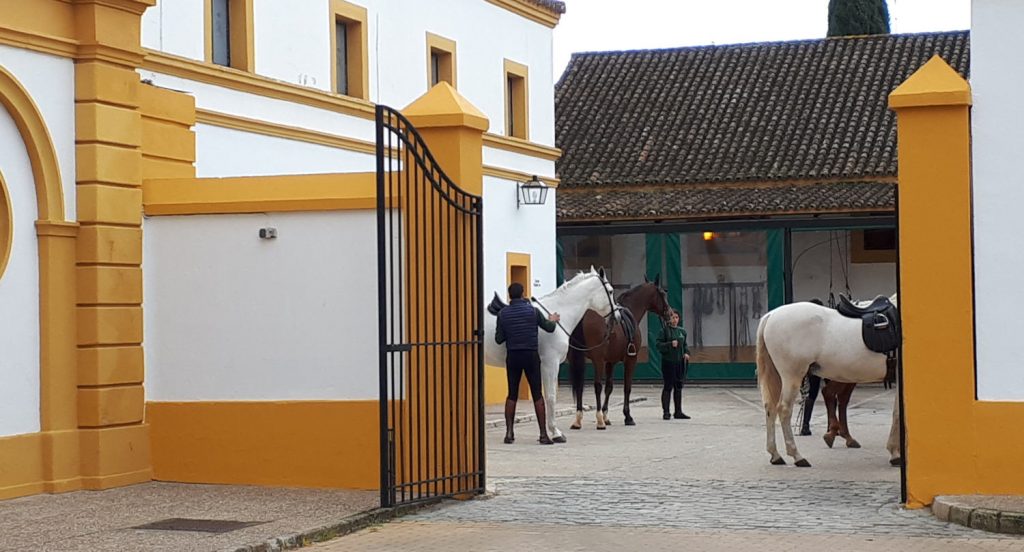 Royal Andalusian School of Equestrian Art