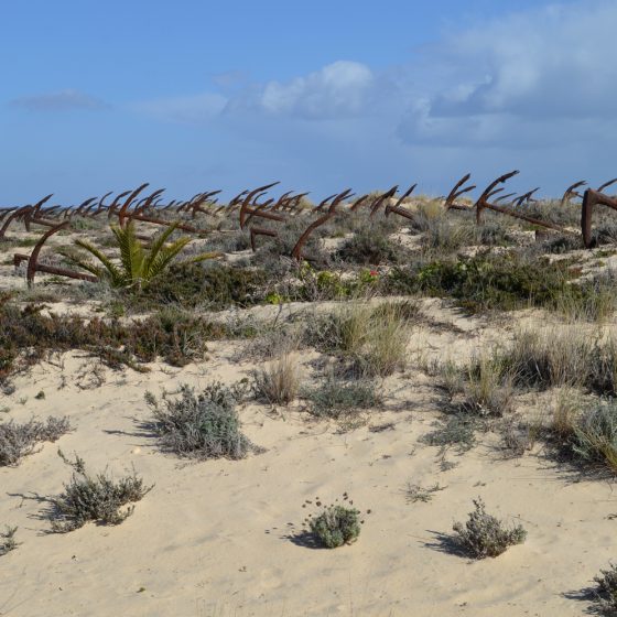 Algarve IlhaTavira - Anchor graveyard Barril Beach