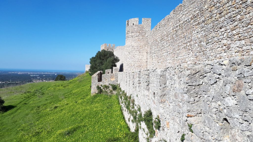 Santiago do Cacem Castle and bank of yellow flowers