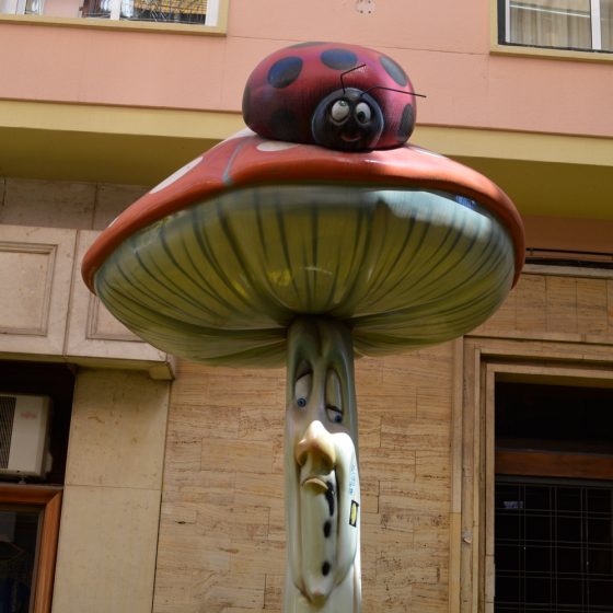 Alicante - Calle San Fransisco - Mushroom ladyBird