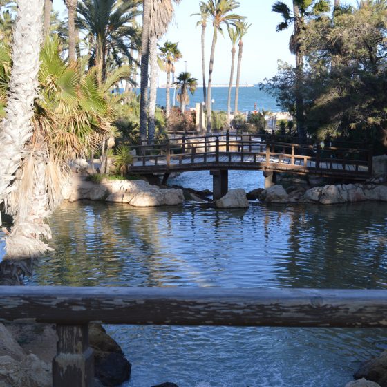 Alicante Palmera park view out to sea