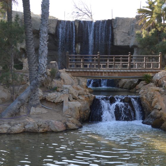 Alicante Palmera park waterfall