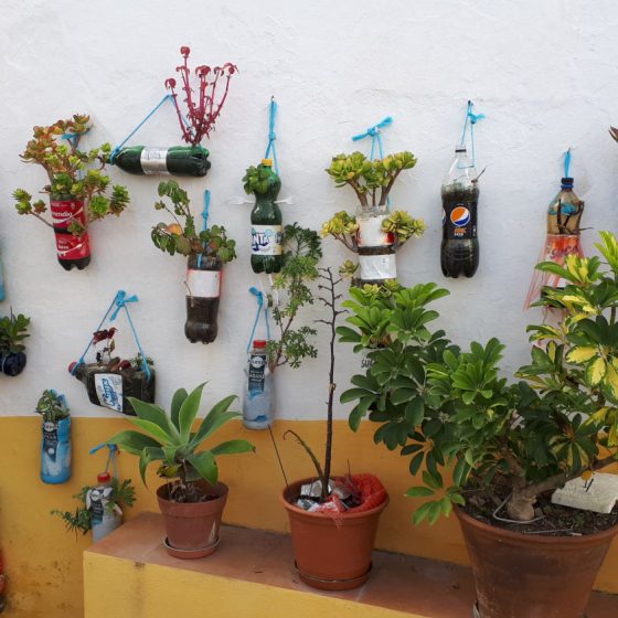 Elvas - house wall with an odd array of flower pots