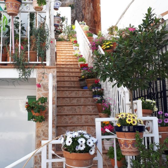 Colourful pots lining steps to a house in Mijas