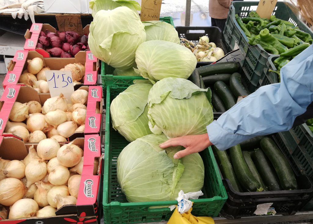 Guadix - Market giant cabbages