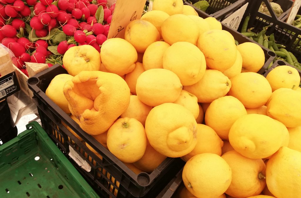 Guadix - Market mutant lemons