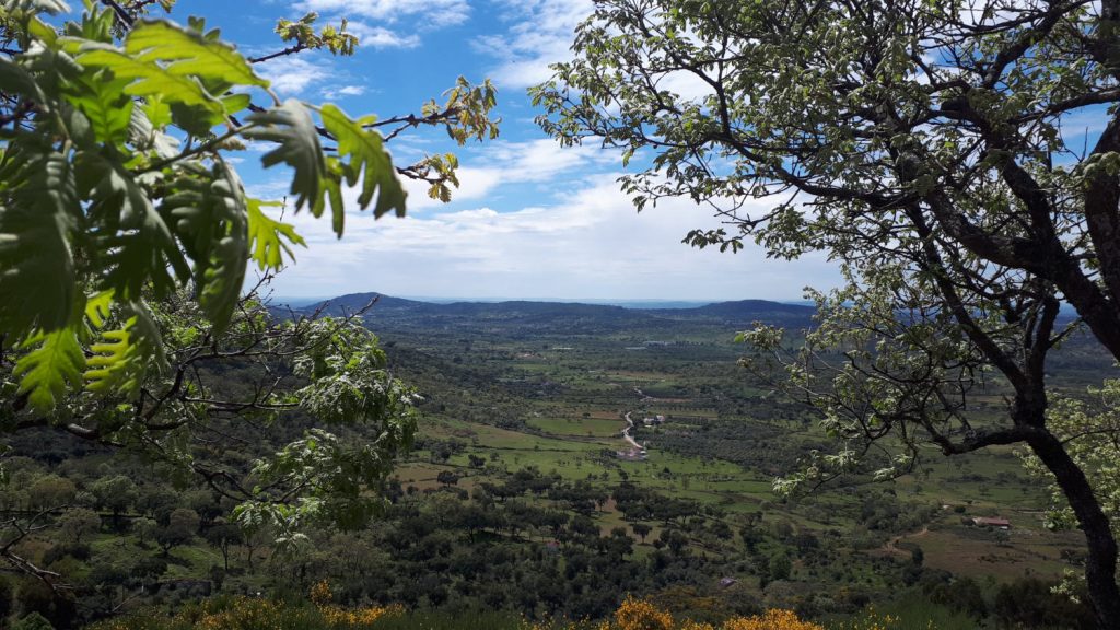 Magnificent wide reaching countryside views