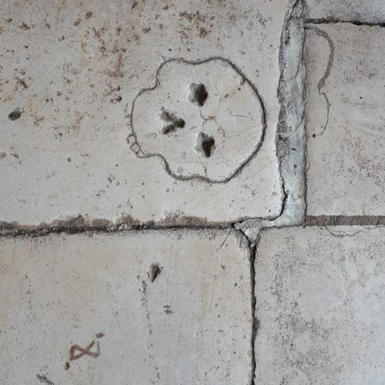 Skull etched into the stone flooring of the monastery