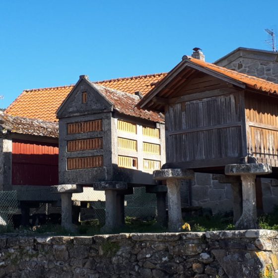 Horreos - traditional Galician grain drying stores all over Combarro