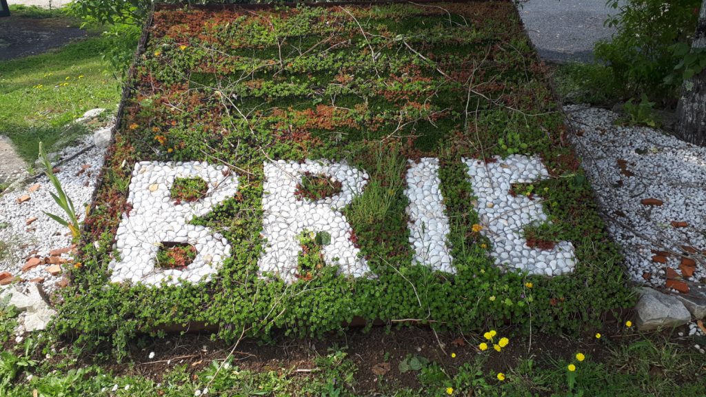 Brie sign written in the grass