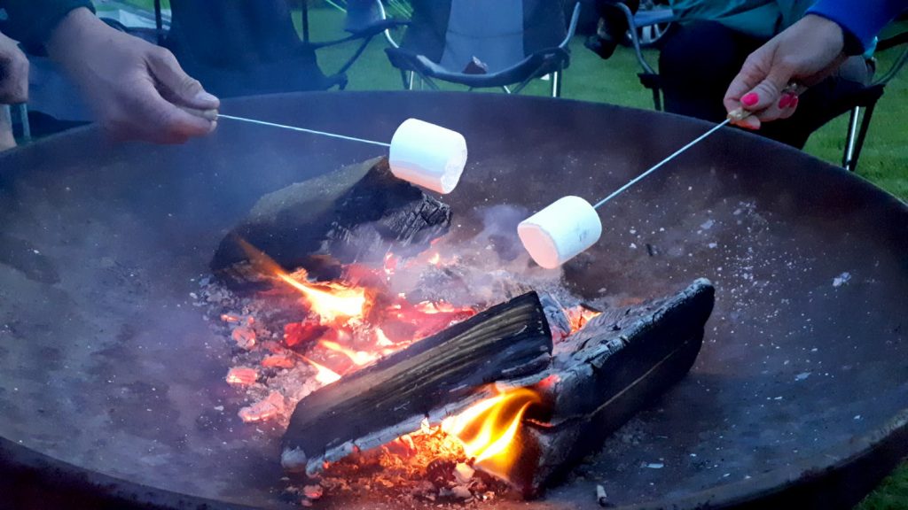 Toasting marshmallows over the firepit