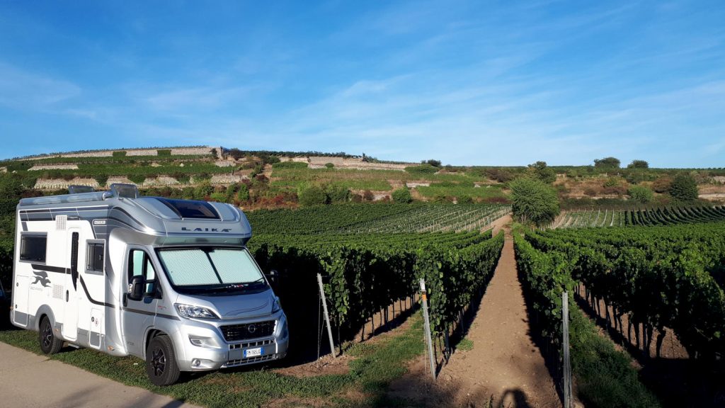 Buzz in his temporary vineyard spot before we moved to the official motorhome parking area