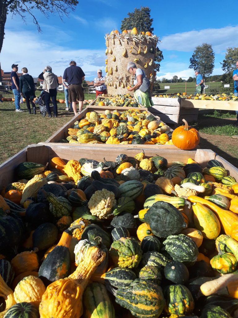 Pick n Mix pumpkins in every size, shape and colour you want