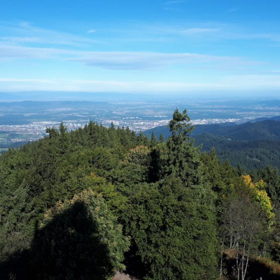 Schauinsland and the beauty of the Black Forest