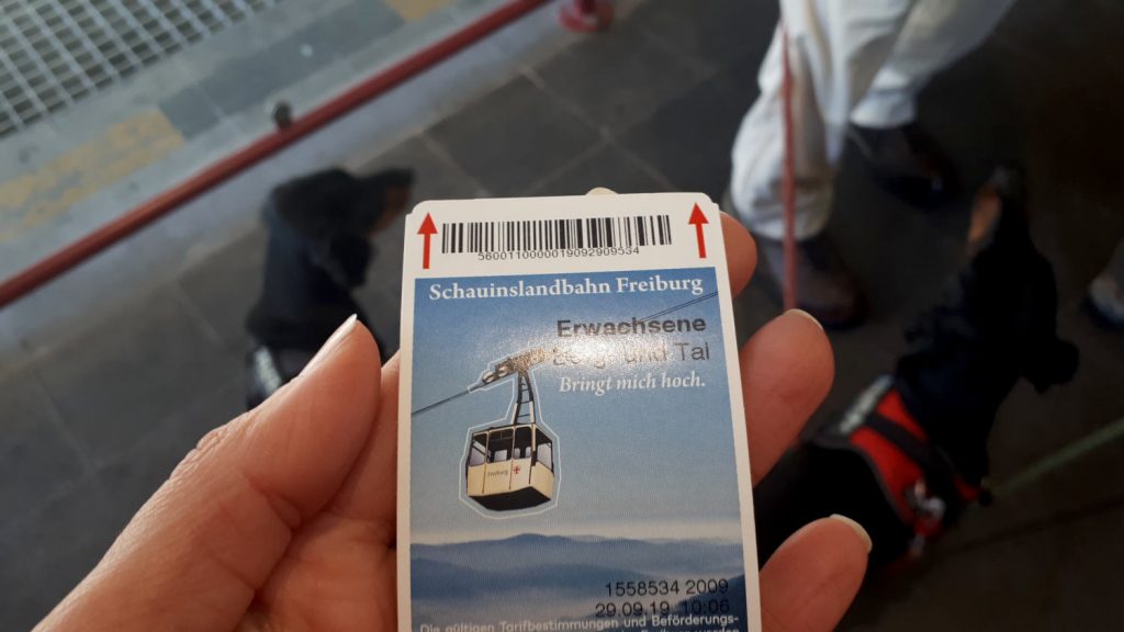 Our ticket for the cable car, and our car companions, two matching sausage dogs!