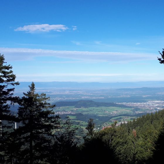 Schauinsland views for miles