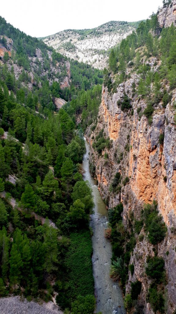 An unexpected discovery - the Turia canyon