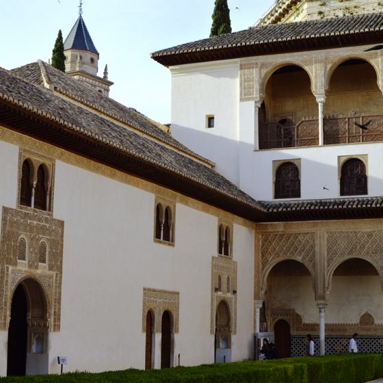 Alhambra Courtyard with Swifts in flight