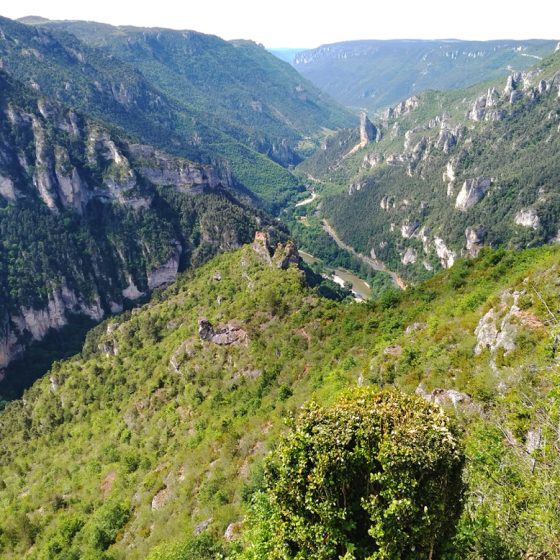 Gorges Du Tarn from la Pointe Sublime