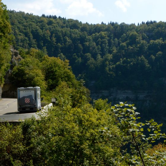 Buzz Laika perched up high in the Doubs