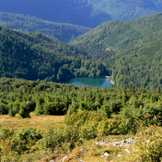 Lake seen from the Grand Ballon Route de Cretes